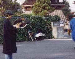 写真：平成12年の街回遊展での様子1