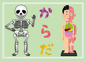 からだ ポスター