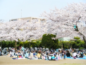 駅前公園の画像