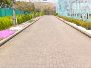 福栄スポーツ広場の画像1