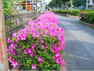 押切稲荷神社付近の画像