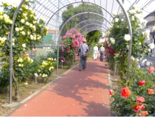 南行徳公園の画像