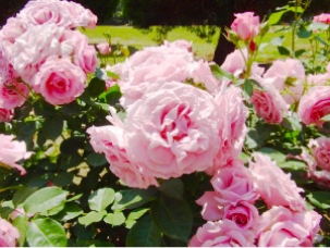 駅前公園の画像