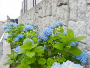 常夜灯公園の画像