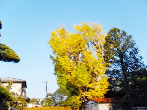 押切稲荷神社の画像