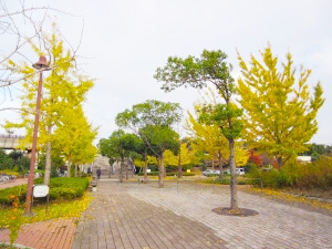 福栄 終末処理場内の画像