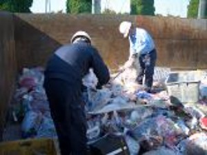 ごみを選別している写真