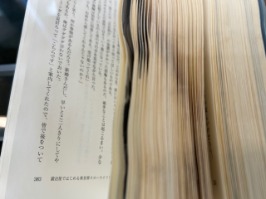 ずぶぬれになり乾かした本（写真画像）