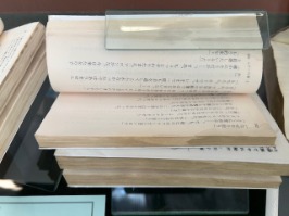 ぬらした後にカビた本（写真画像）