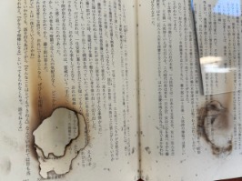 焼き抜けたページ（写真画像）