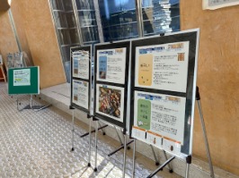 ロビーでの虫干し説明パネル展示（写真画像）