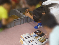 図鑑と見くらべて♪の画像