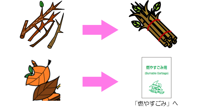 イラスト：枝は、ひもで縛って「剪定枝」へ。葉・草は、「燃やすごみ用」の指定袋に入れて「燃やすごみ」へ。