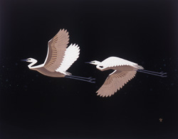 朝まだきの画像