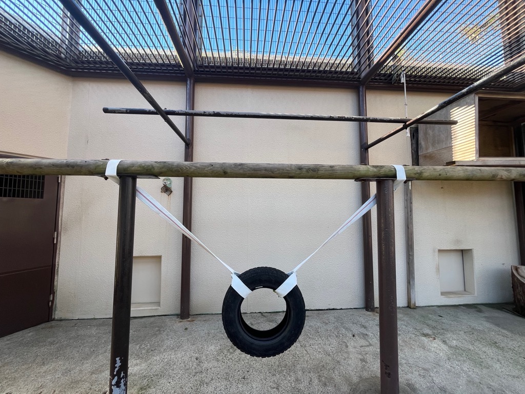 画像：放飼場の中央に取り付けられたタイヤの画像