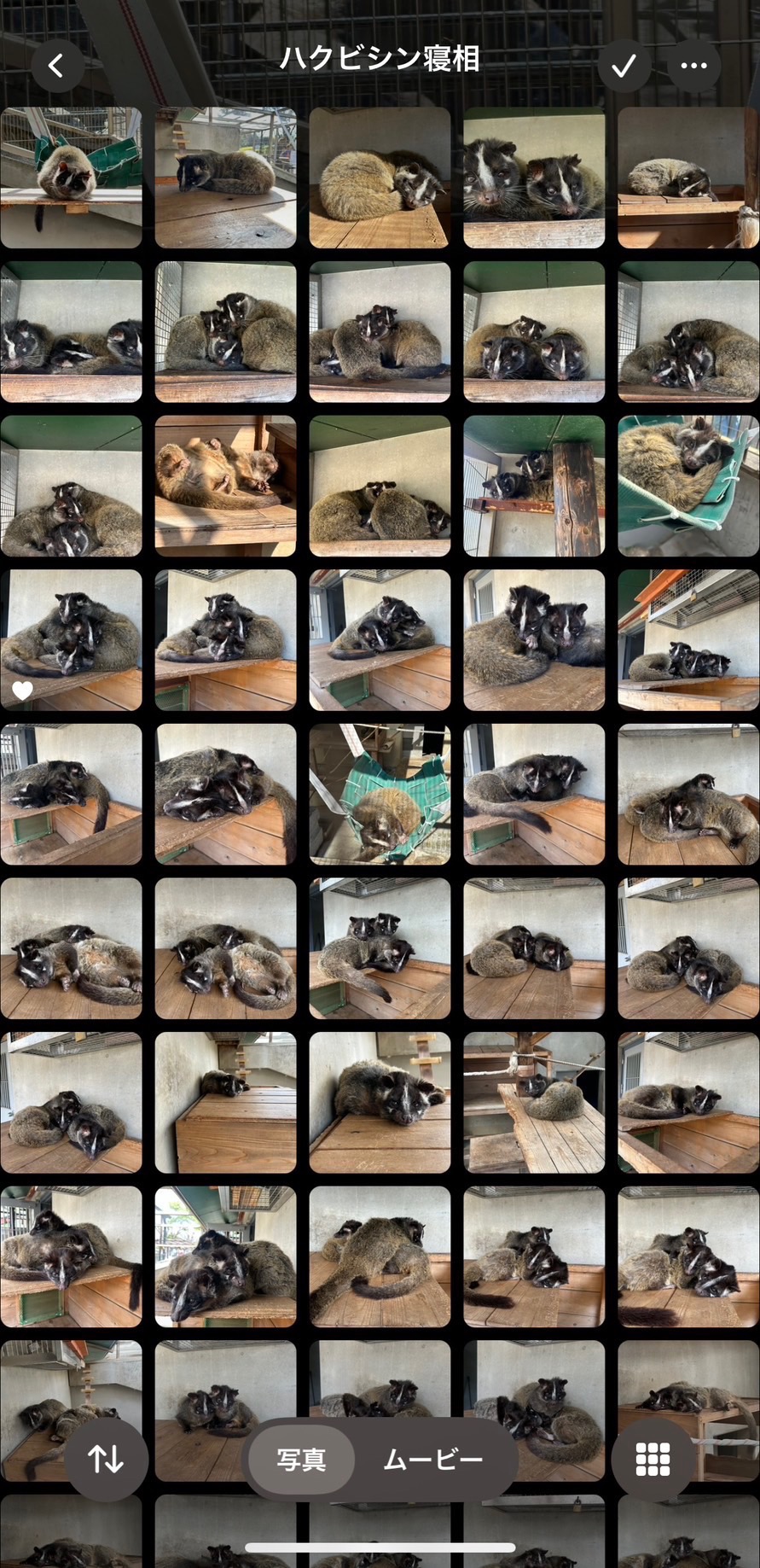 画像：寝相フォルダの画像