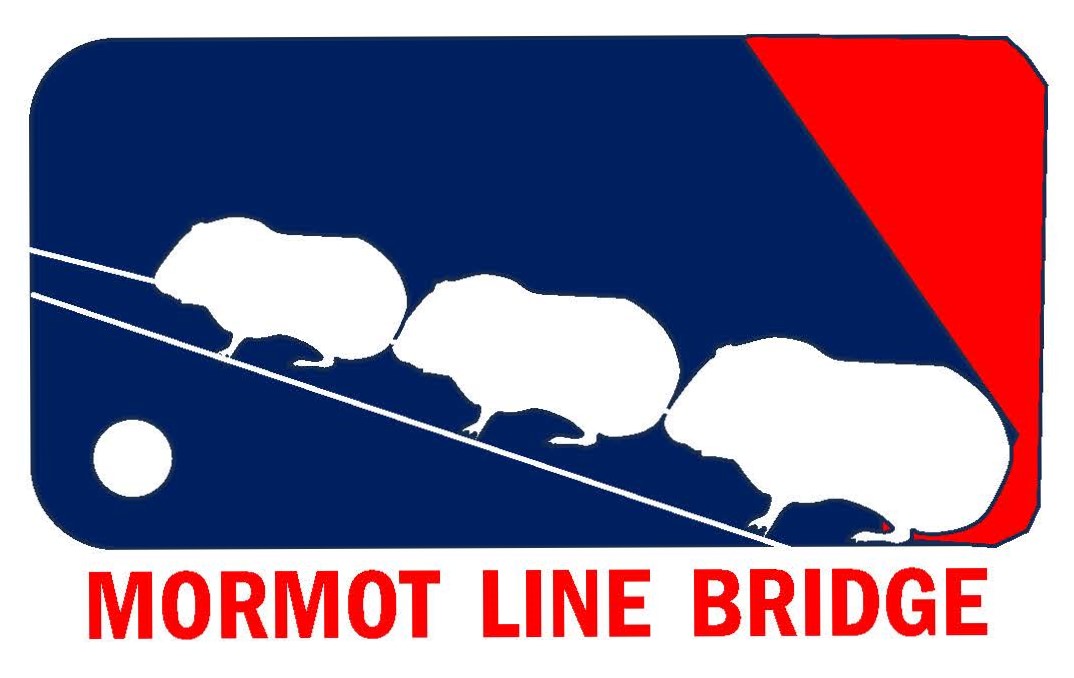 モルモットキャラバンに使われる橋の名前の画像