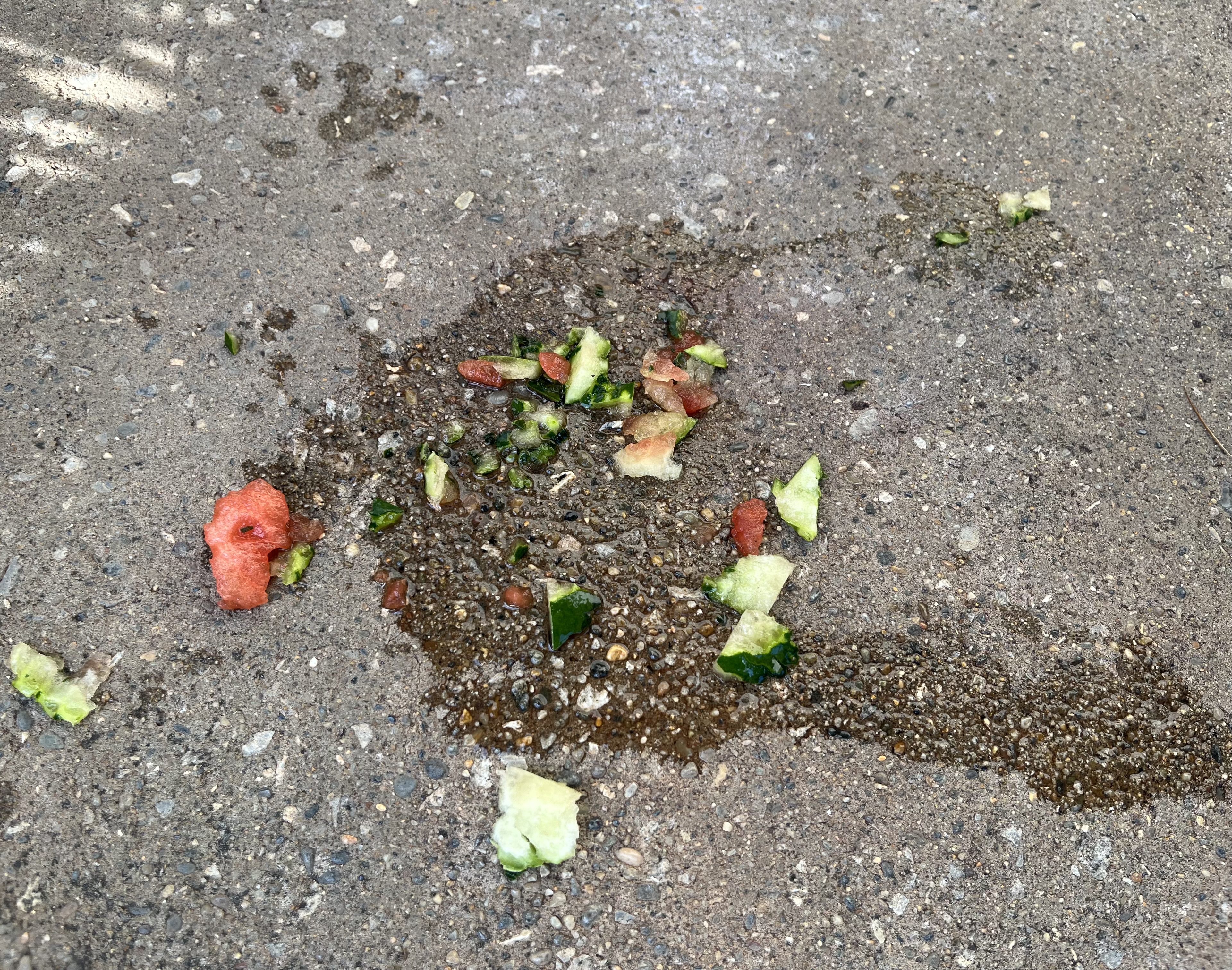 画像：ヤマアラシの食べこぼしたスイカの写真