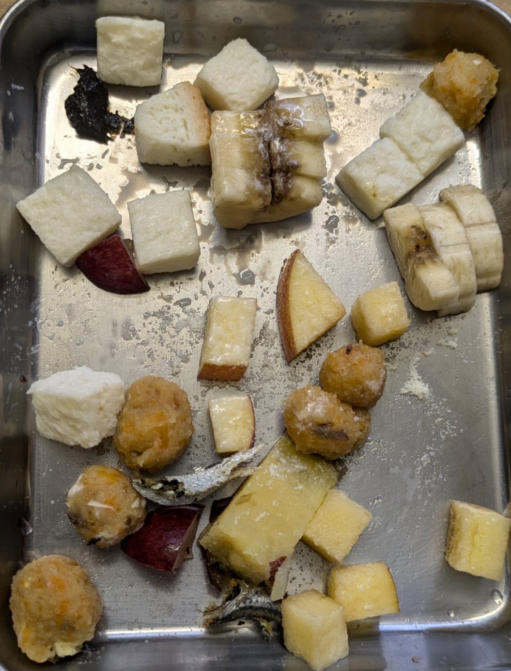 画像：餌は食べやすい大きさに切ってあげています