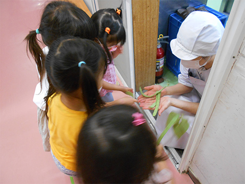 食育（園内菜園で収穫）の画像
