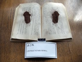 しみのついた本(写真画像) しみのついた本(写真画像)