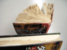 濡れて膨らみかさばった文庫本(写真画像) 濡れて膨らみかさばった文庫本(写真画像)