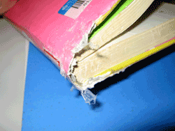 かじられた本(写真画像) かじられた本(写真画像)