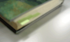 付箋がはいったまま返却された本(写真画像) 付箋がはいったまま返却された本(写真画像)