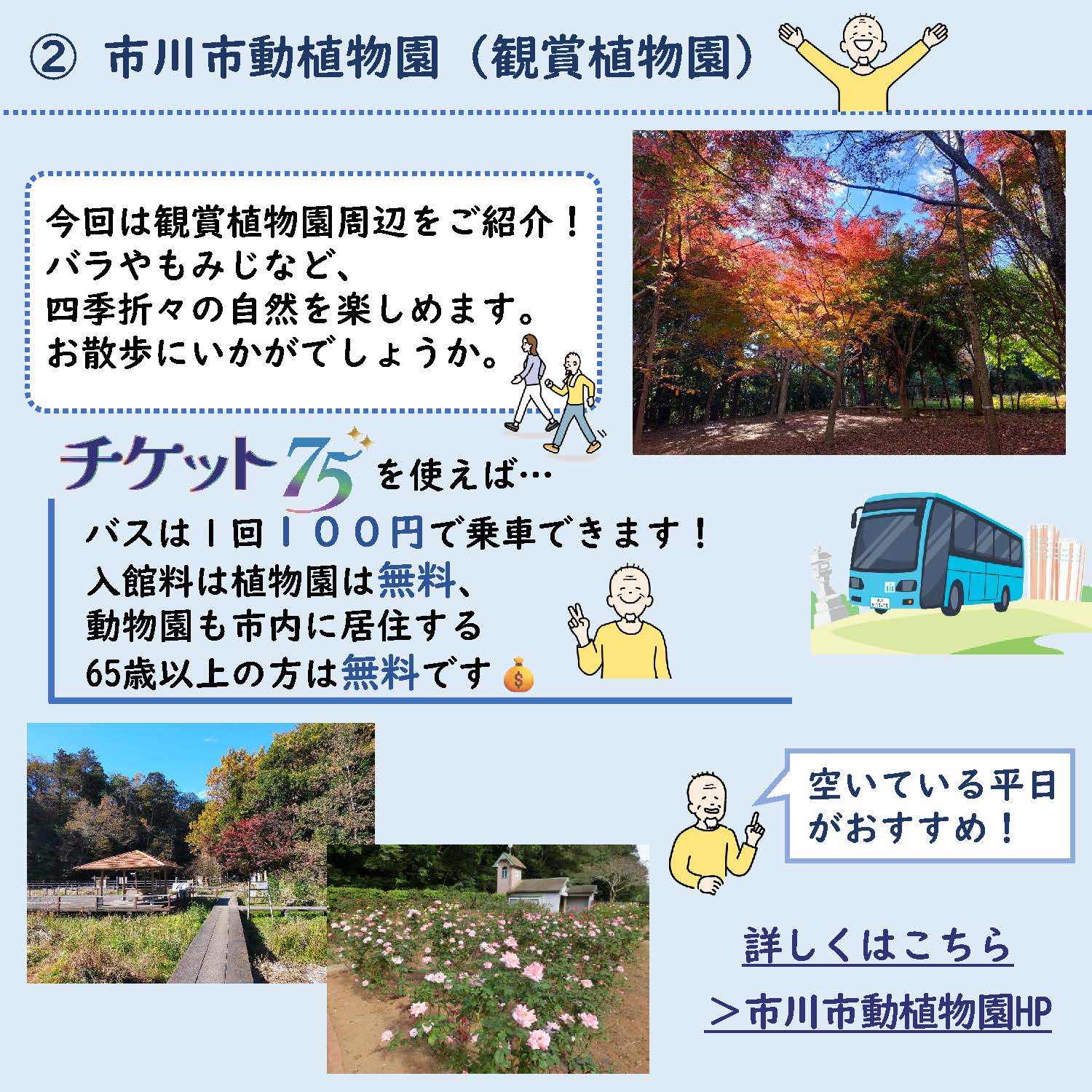 秋のお出かけにおすすめのスポットの画像2