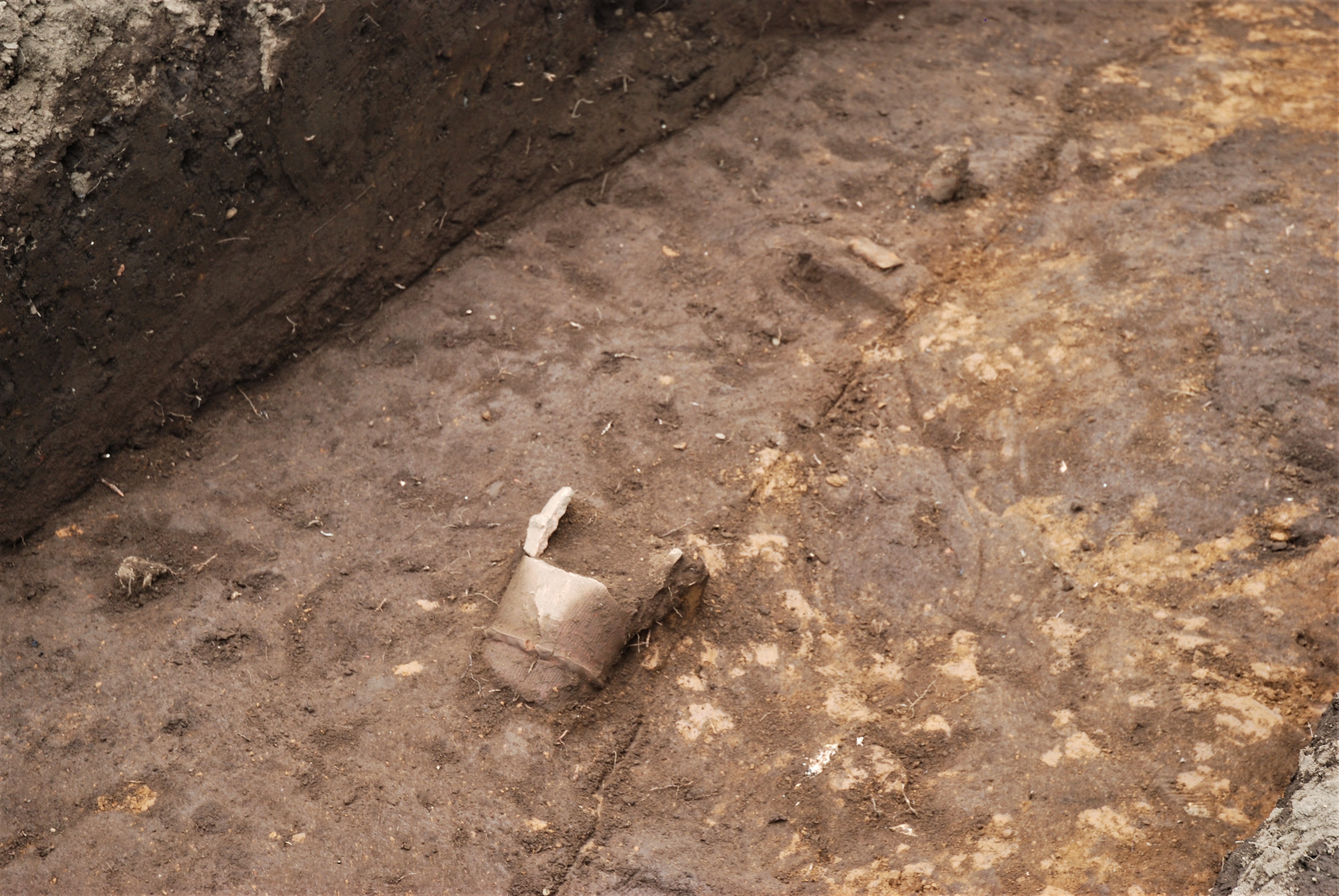 国府台遺跡第253地点　画像データ