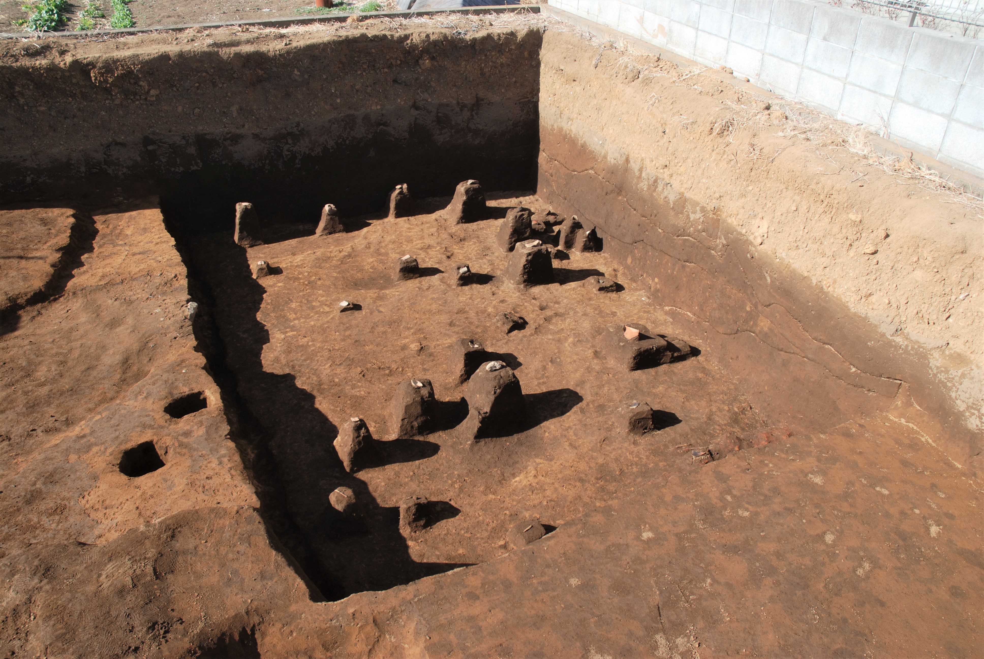若宮八幡遺跡第29地点　画像データ