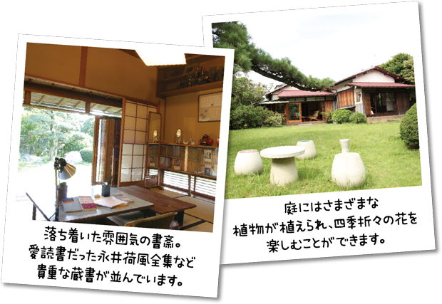 庭の草木が四季を彩る 脚本家／水木洋子邸の画像