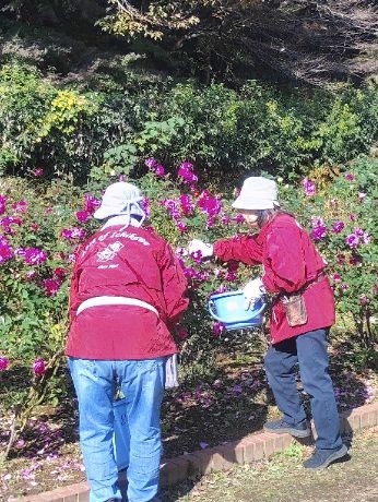 写真：ボランティア活動の様子