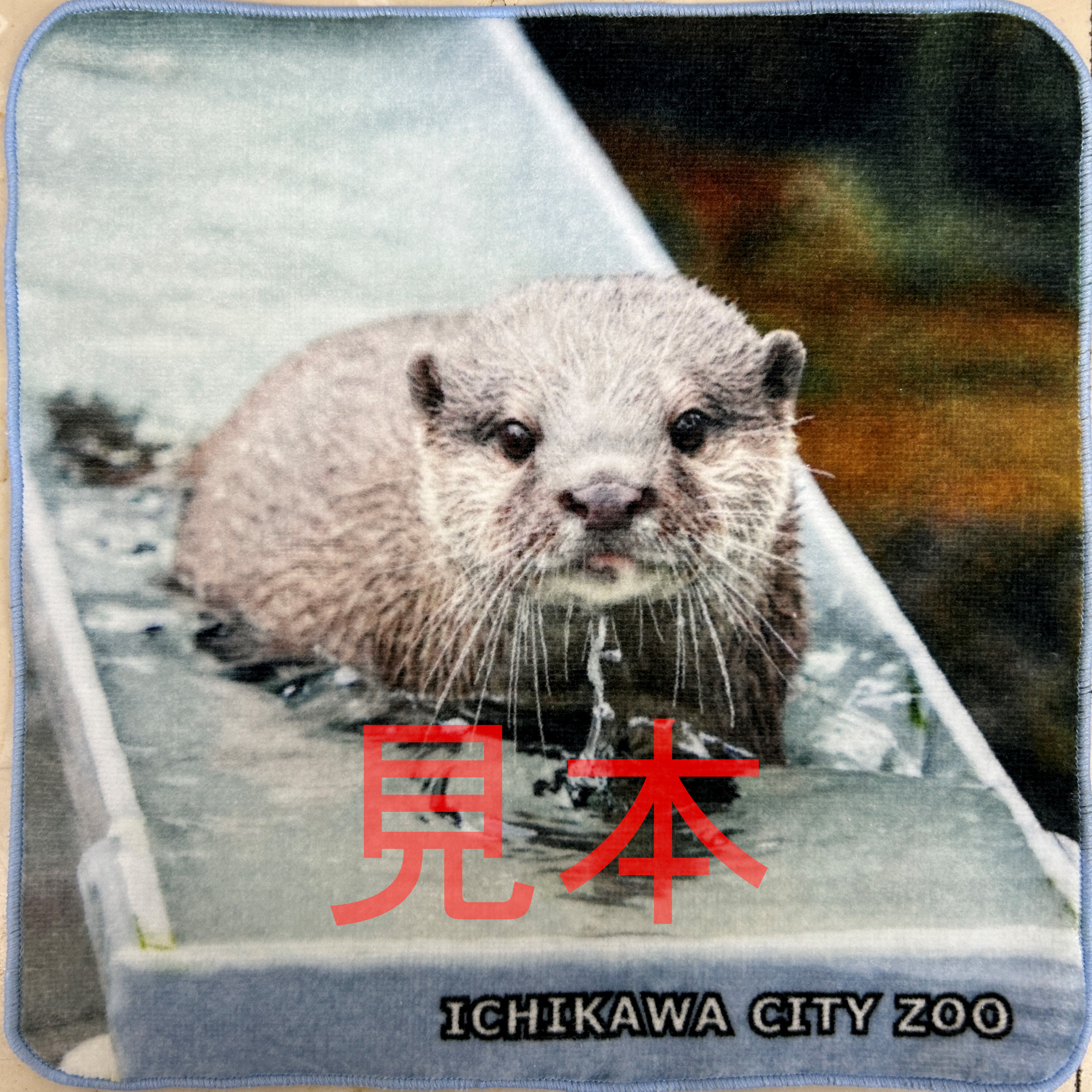 写真:カワウソの絵柄のミニタオル