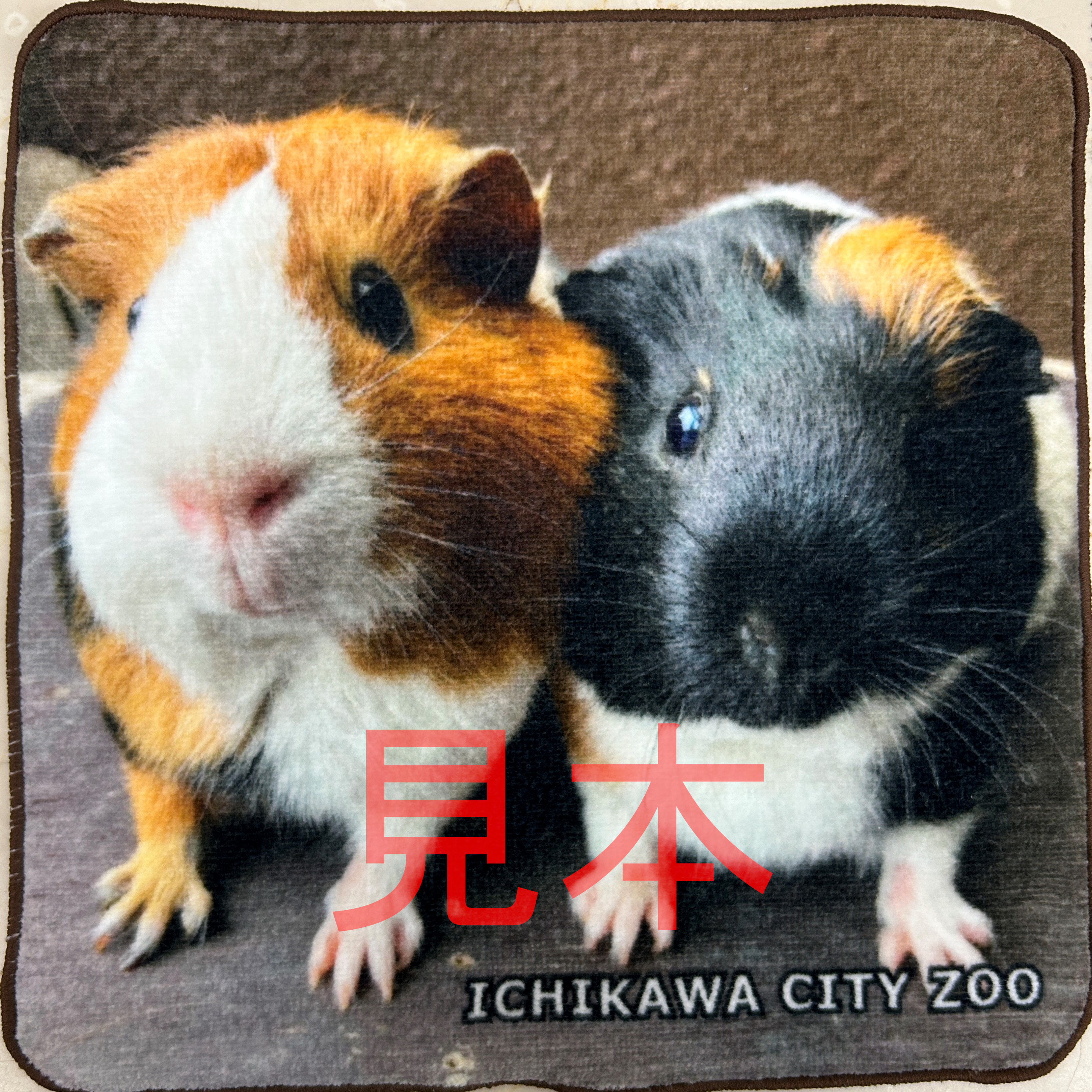 写真:モルモットの絵柄のミニタオル