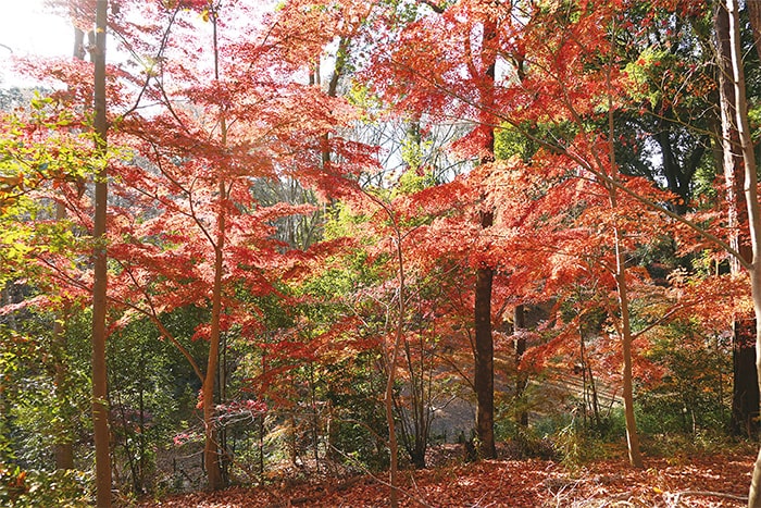 画像：昨年度の様子