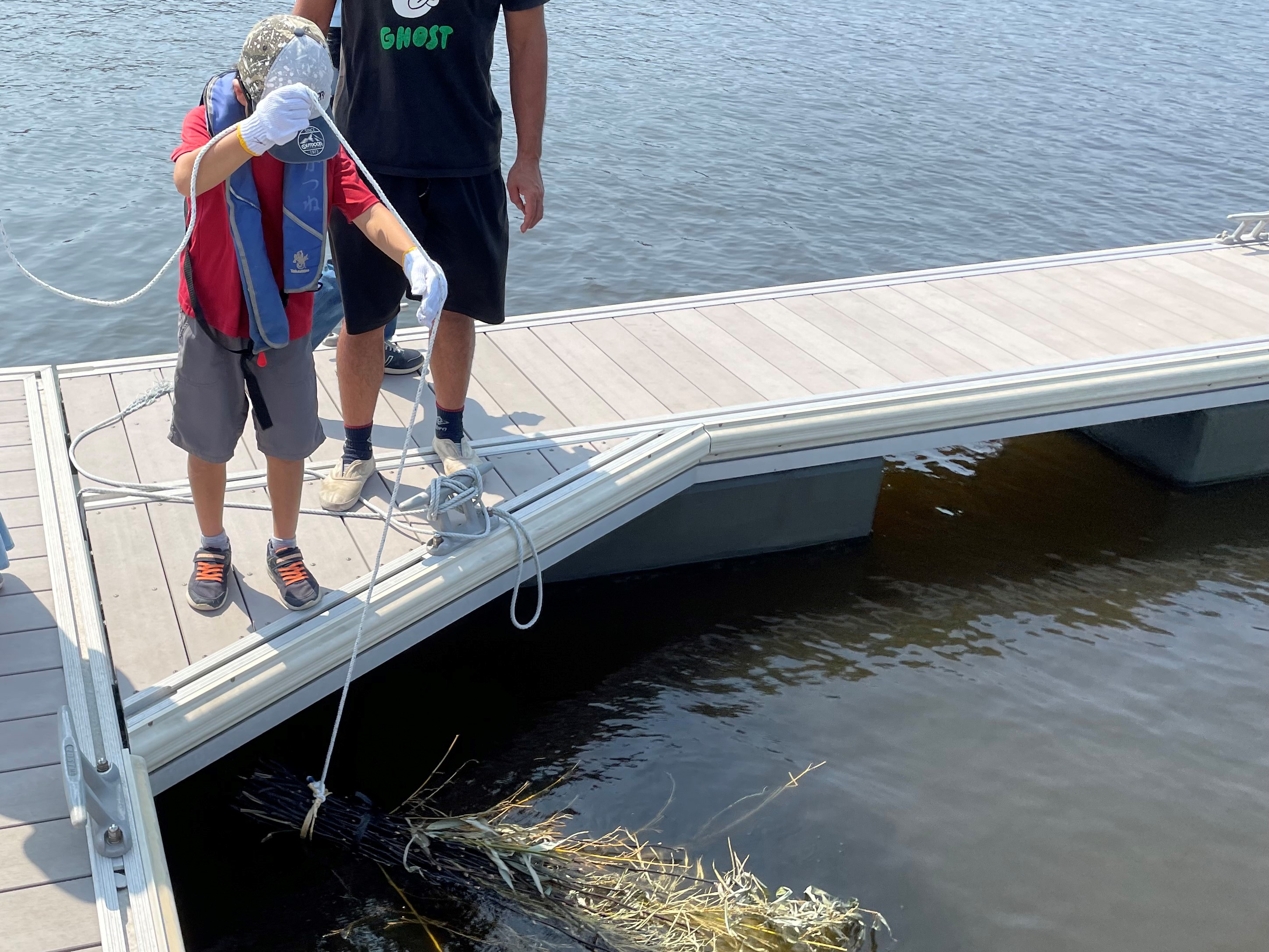 作成したボサを海に沈めている様子の写真