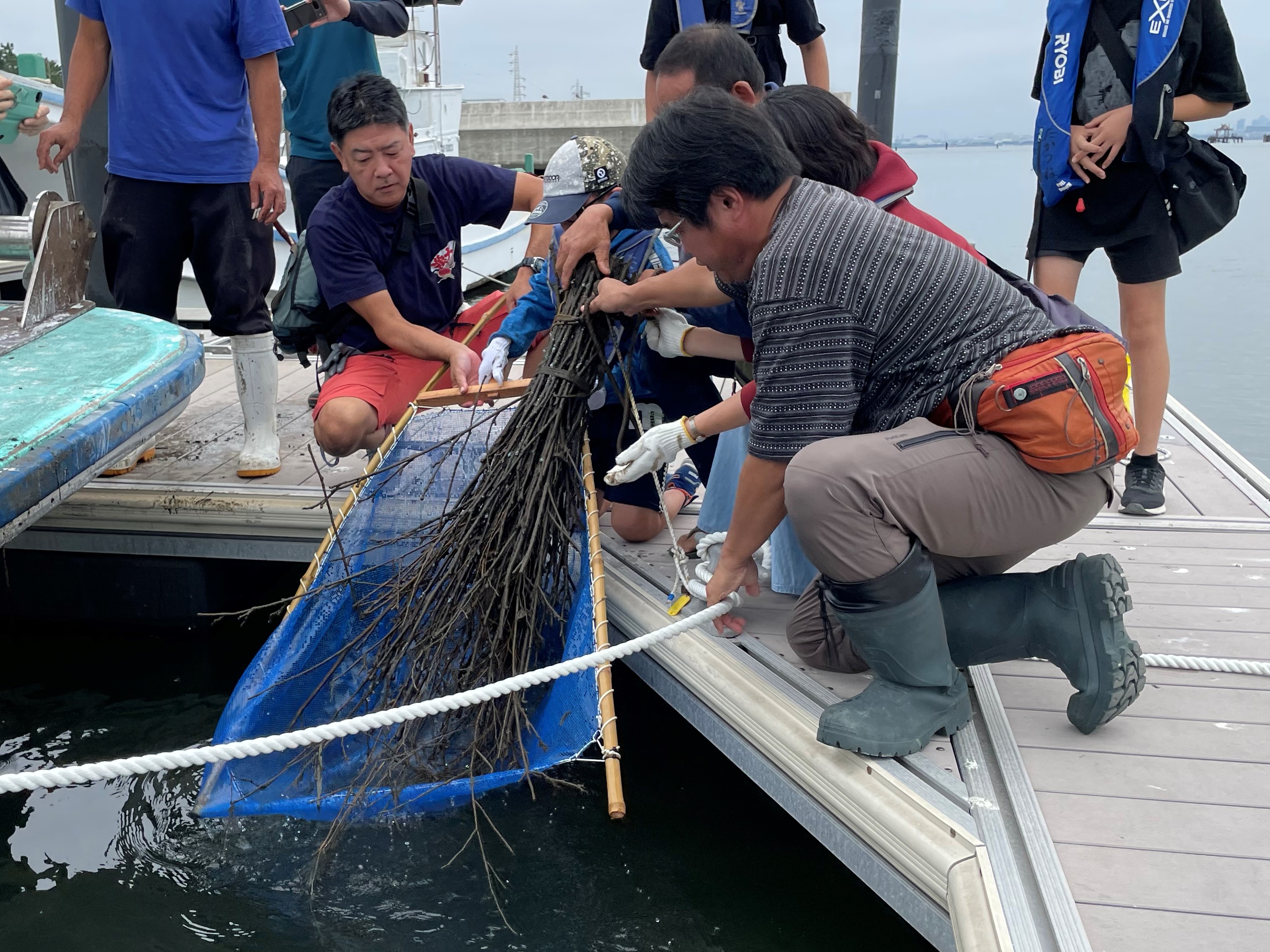 ボサを海から引き上げている様子の写真