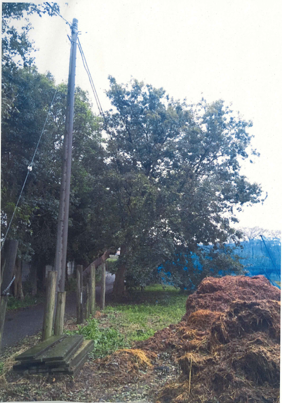 令和元年台風19号時の写真1