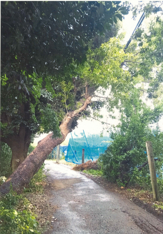 令和元年台風19号時の写真2