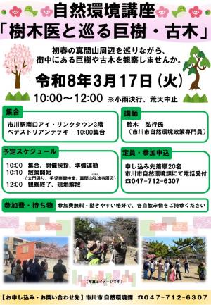 樹木医と巡る巨樹・古木イベントチラシ