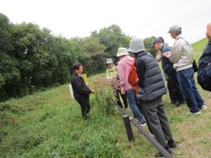 自然観察会の画像