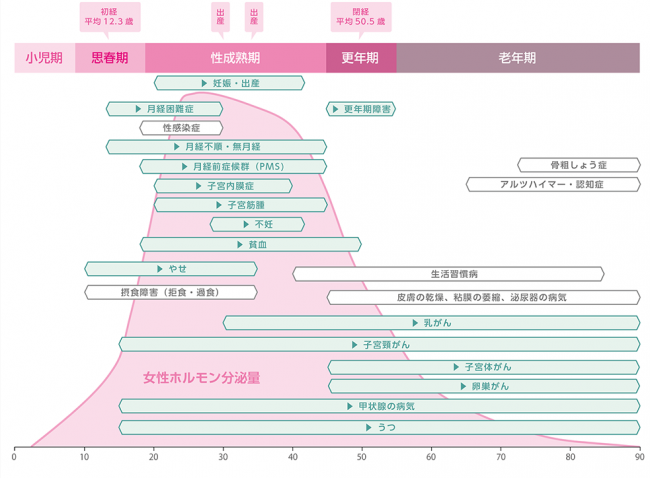 女性ホルモン分泌量と年齢の関係グラフ。女性ホルモンの分泌量は10代後半の思春期から急激に上昇し、20代から40代の性成熟期に一定の分泌量となる。閉経前後の40代半ばから50代半ばまでの時期を更年期といい、女性ホルモンが急激に減少する。