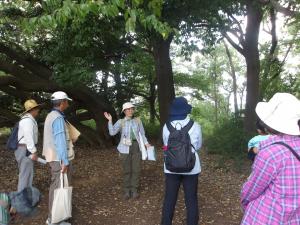 温暖化防止のための森の役割勉強会の様子