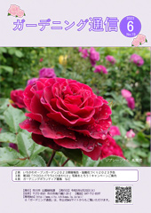 ガーデニング通信第19号の画像