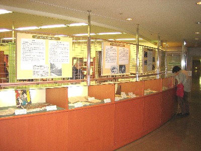 いちかわ文学早分かり　展示風景