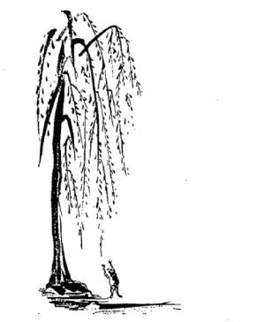 父が書いた「柳に飛びつく蛙」