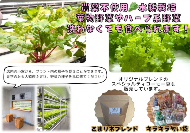 とまりぎふぁーむ　商品写真