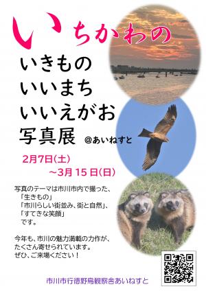 いちかわの　いきもの　いいまち　いいえがお　写真展のポスター（画像をクリックするとPDFファイルが開きます）