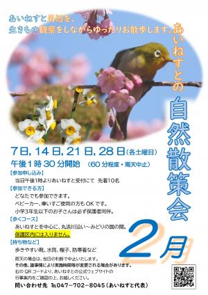 あいねすとの自然散策会2月のポスター（画像をクリックするとPDFファイルが開きます）